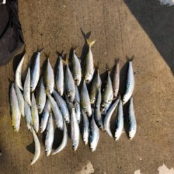 初筏釣り