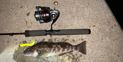 苦戦の令和フィッシュ！