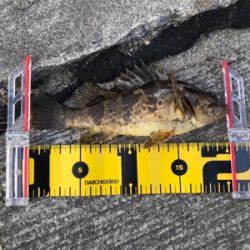 伯方島ライトゲーム