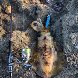 今年初キロアップ!