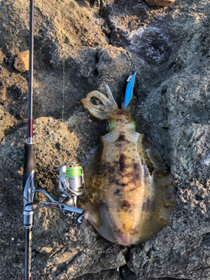 今年初キロアップ!