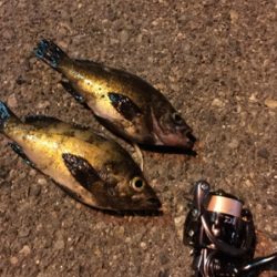 明石ライトゲーム☆