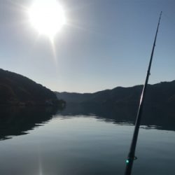 ちょい投げ キス