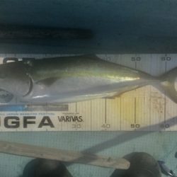 タイラバ 、ジギング、エギング