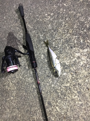 別場所にてアジング