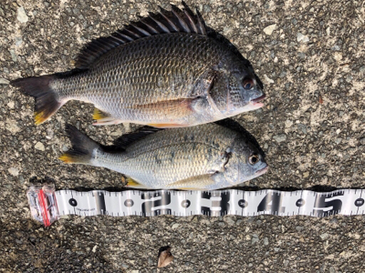 武庫川尻 ホームにてPart2