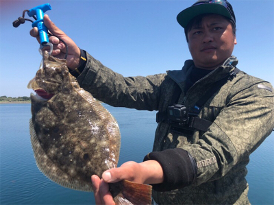 つりぴぃぽぉ釣果