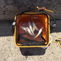 まったりキスチェック！