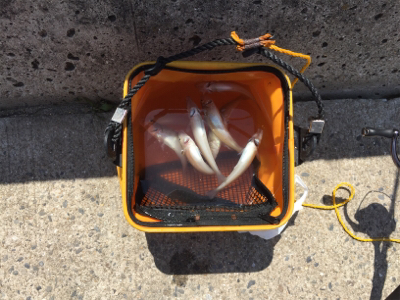 まったりキスチェック！