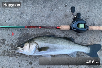 久々の朝まづめシーバス♫