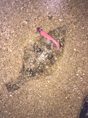 ナイトウェーディング