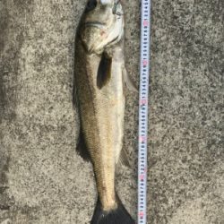 大荒れでしたが………