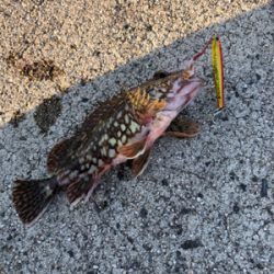 ウルトラライトショアジギング