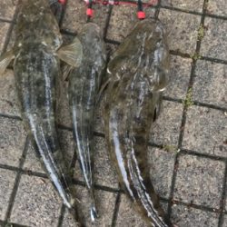 雨の中でもなんとか