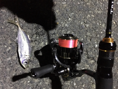 ナイトアジング