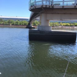 記録更新！ならず！