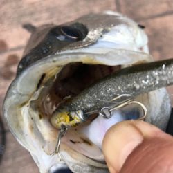 6ヒット4バラシ…