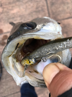 6ヒット4バラシ…