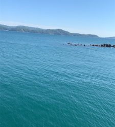 えそばっかり！の巻。