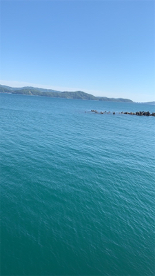 えそばっかり！の巻。