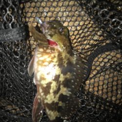 寒い中ガシリング(^。^)