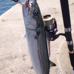 追い風が強い中での釣行