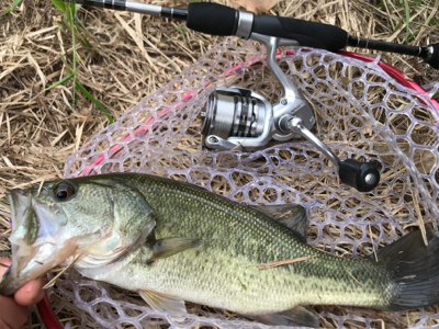 スモラバサイト