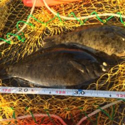 久しぶりの場所でカレイ釣り