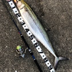 GWは仕事だったから…