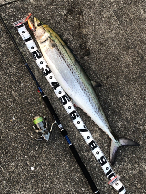 GWは仕事だったから…