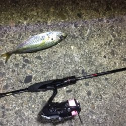 短時間アジング