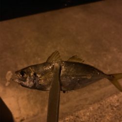 フロートアジング