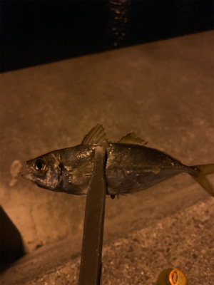 フロートアジング