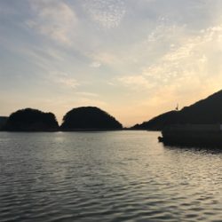 令和初イカ撃沈