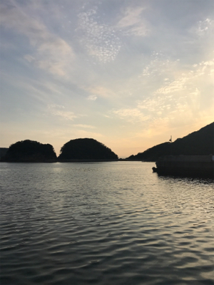 令和初イカ撃沈