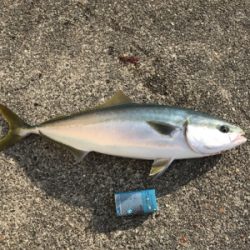 ラッキー２度目