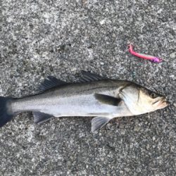 今週も行って来ました〜！