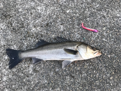 今週も行って来ました〜！