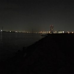 淀川ブリームゲーム ナイトゲーム