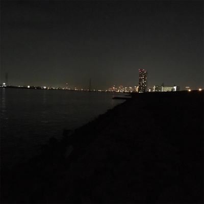 淀川ブリームゲーム ナイトゲーム