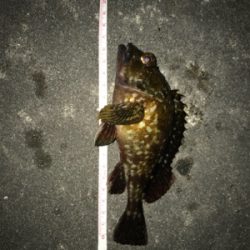 事前調査の後に