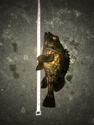 事前調査の後に