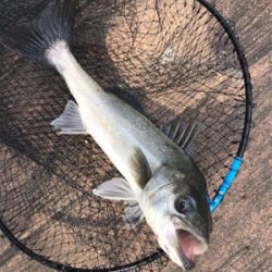 苦しんだ末の…