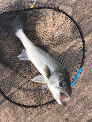 苦しんだ末の…