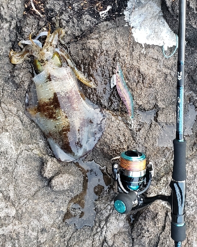 爆風と高波の中エギング