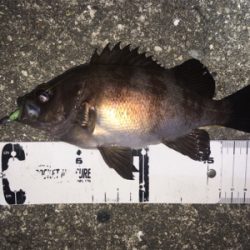 深夜のライトゲーム