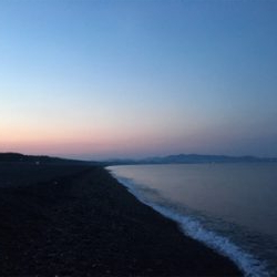 メジロを期待するも