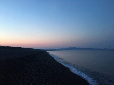 メジロを期待するも