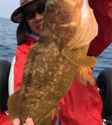 再び出た!!ビッグアコウ!!自己新記録!!マイボートで丹後タイラバ釣行