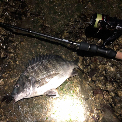 いつもの場所でいつもの釣り方